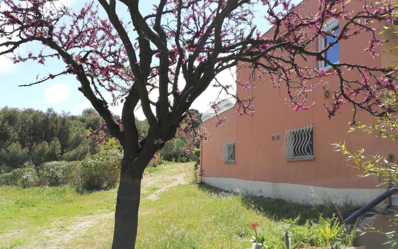 Studio 28M2 Climatise,Wifi, Proche Des Calanques,Plages ลาซิโอตาต์ ภายนอก รูปภาพ