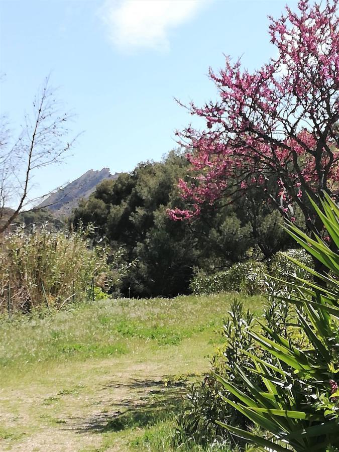 Studio 28M2 Climatise,Wifi, Proche Des Calanques,Plages ลาซิโอตาต์ ภายนอก รูปภาพ